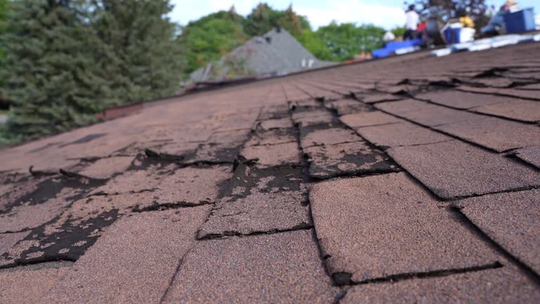 Best Asphalt Shingle Roofing  in Helena Valley West Central, MT