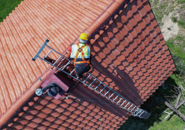 Best Roof Moss and Algae Removal  in Helena Valley West Central, MT